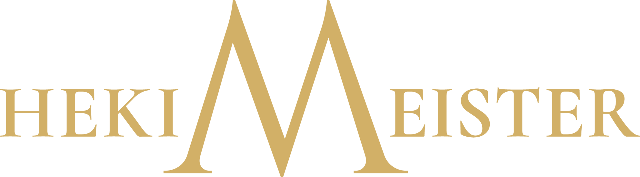 hekimeister logo